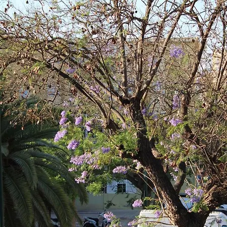 Apartament Paz Malaga