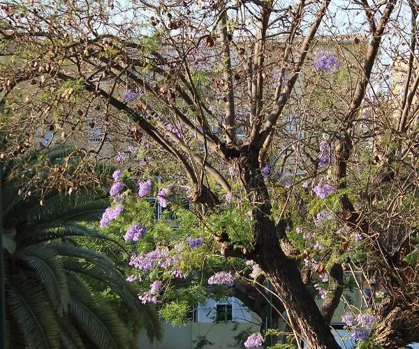 Appartement Paz Málaga